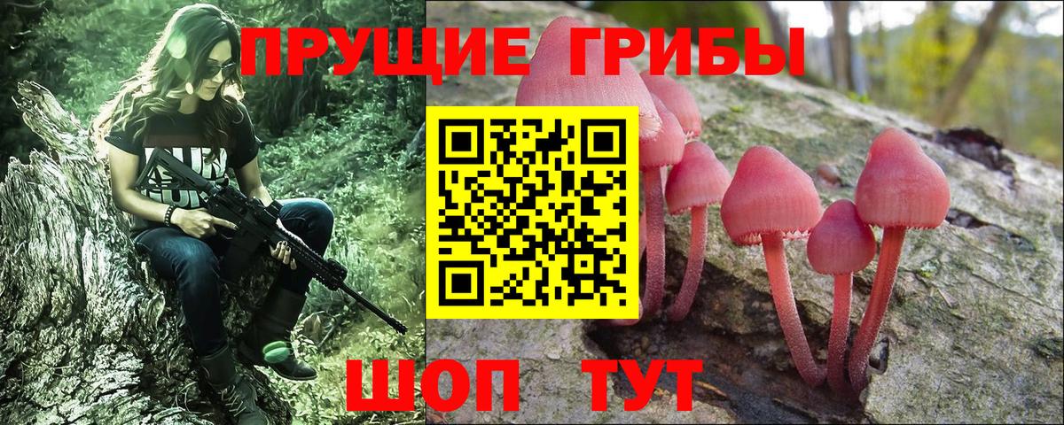 Симферополь  Галлюциногенные грибы Magic Shrooms  Вход с VPN 